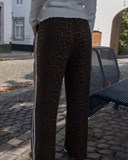 42110_3.jpg