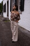 41167_1.jpg