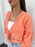 39709_2.jpg