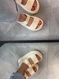 39720_1.jpg