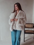 42216_1.jpg