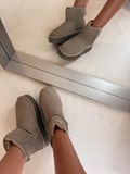 41796_1.jpg