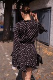 41585_2.jpg