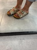 39731_3.jpg
