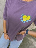 38812_4.jpg
