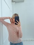 44233_1.jpg