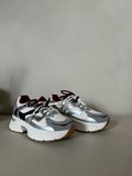 41124_1.jpg