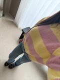 38321_3.jpg